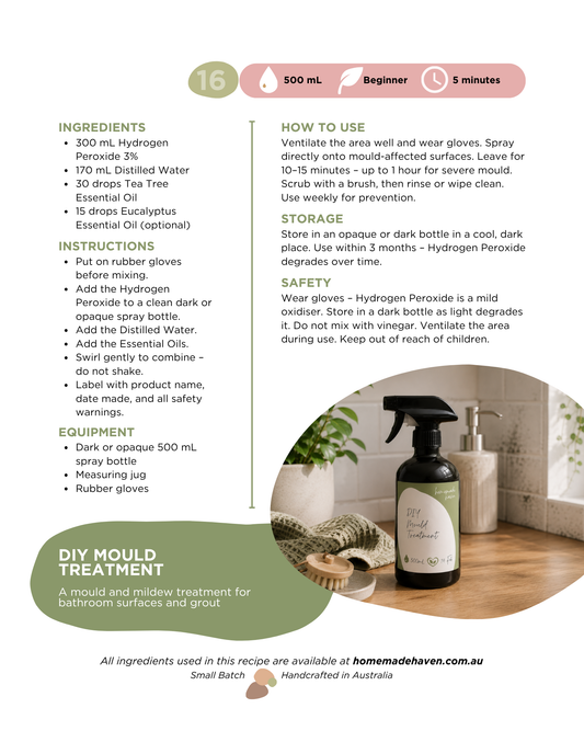 DIY Mould Treatment Recipe Card