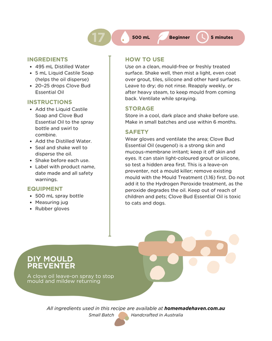 DIY Mould Preventer Recipe Card