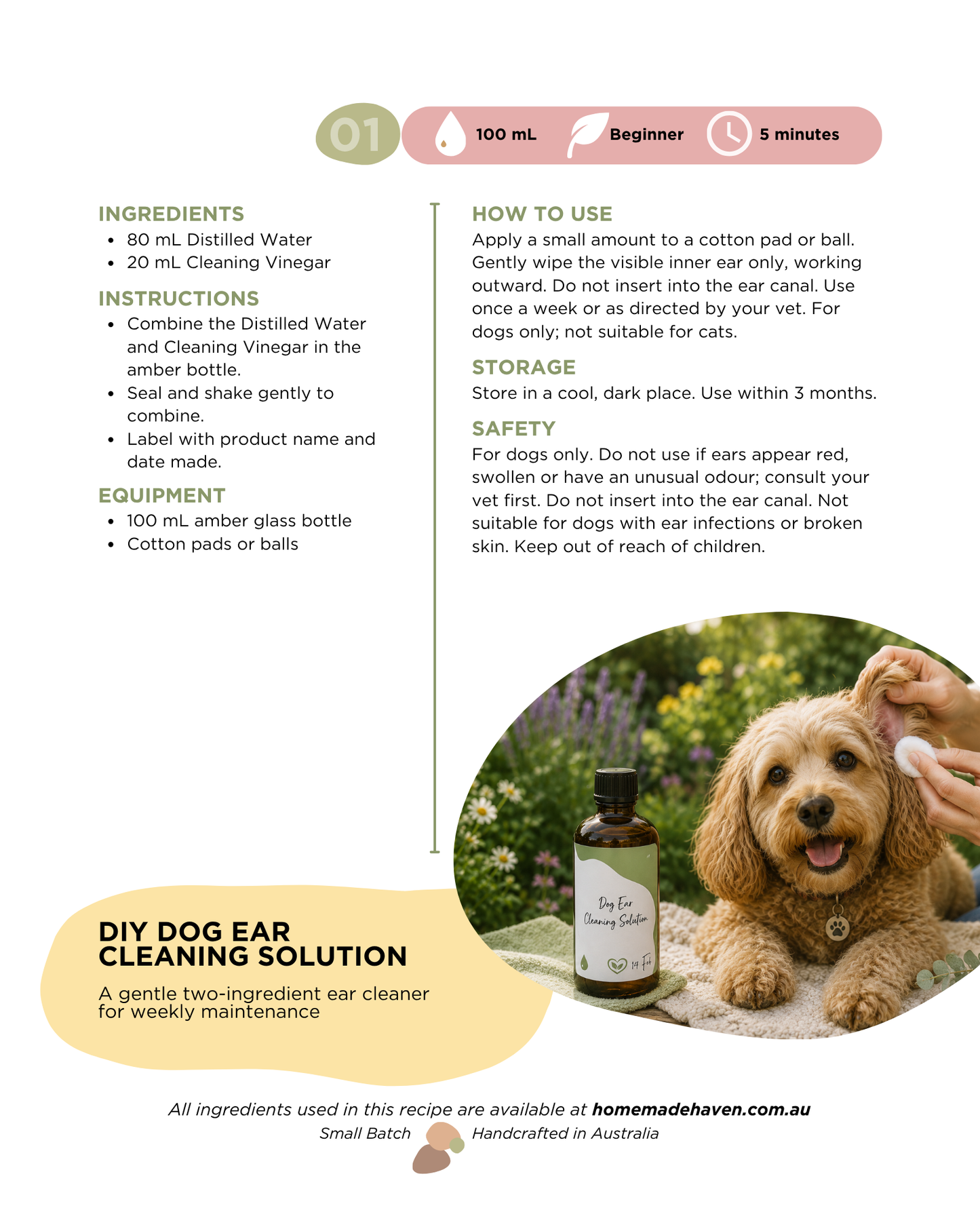DIY Dog Ear Cleaning Solution Recipe Card